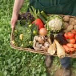 Mitos y verdades de la comida orgánica