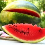 Las cinco mejores frutas para llevar a la playa y disfrutar este verano