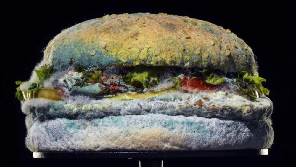 Hamburguesa Podrida La Original Idea De Una Cadena De Comidas Rápidas Para Decirle Adiós A Los 1494