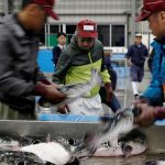 Fugu, el peligroso pez globo que se convirtió en delicatessen, otra víctima de la pandemia