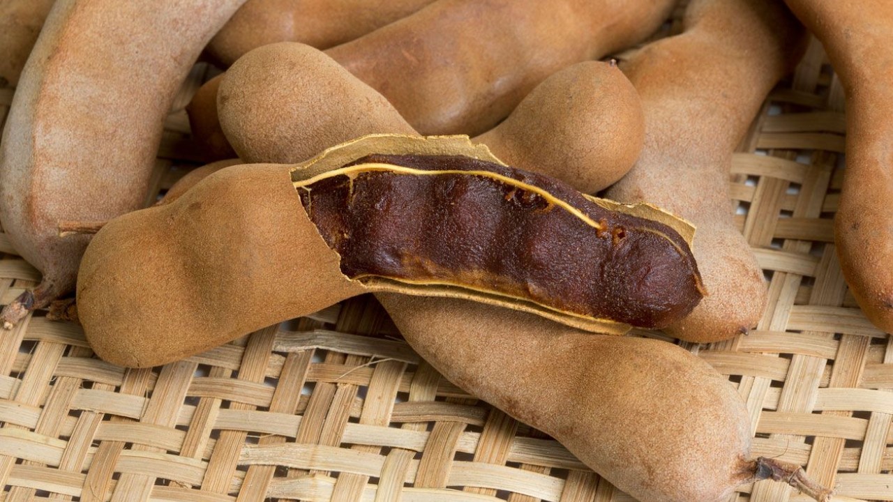 Tamarindo, un ingrediente exótico que tiene variados usos y cuyas