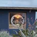 La historia de Casa Oxalis, el restaurante de la Costa que tiene sólo seis mesas y lo atiende un chef que se entrenó con Mauro Colagreco